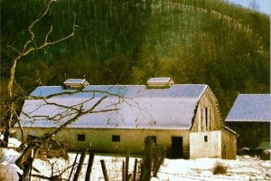 Farm outside of Clover Lick