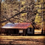 Cabin on Beaver Creek Road