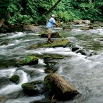 Fishing the Mountains Streams (part 2)