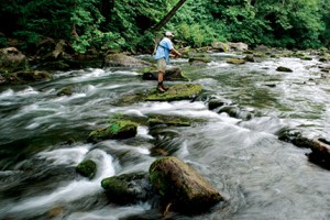 Fishing the Mountains Streams (part 2)