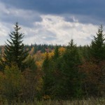 Highland Scenic Highway