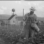 Tygart Valley Homestead