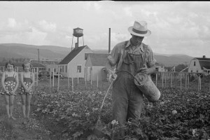 Tygart Valley Homestead