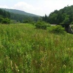 Nature Train to the Ghost Town of Spruce