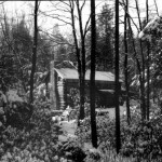 Youghiogheny Forest Colony